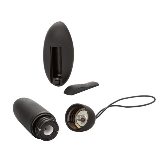 Mini Bullet Zen calexotics
