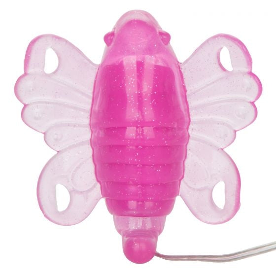 Original Venus Butterfly calexotics