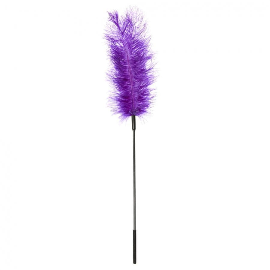 Plume d'Autruche - Violet Sportsheets