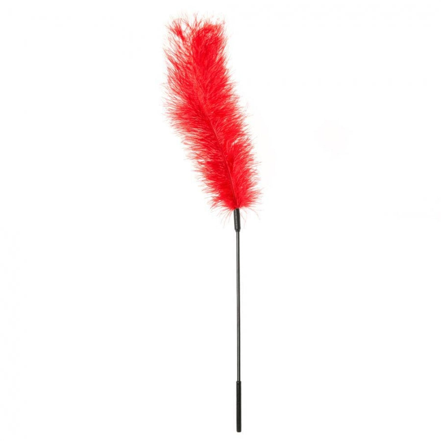 Plume d'Autruche - Rouge Sportsheets