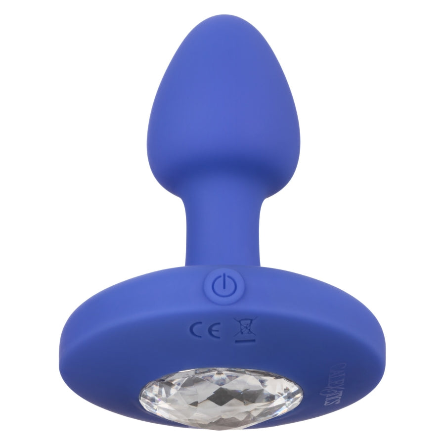 Plug Rechargeable Petit calexotics