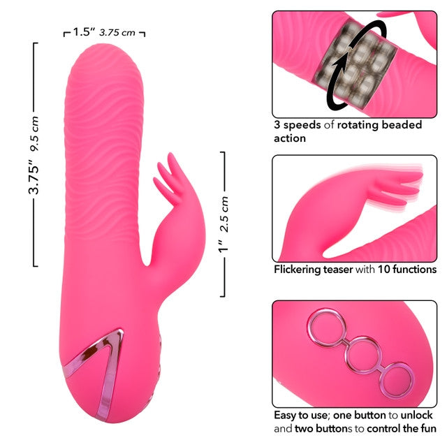 Sacramento Sweetie calexotics