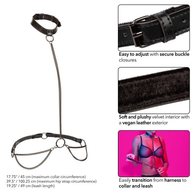 Euphoria - Harnais à Chaine calexotics