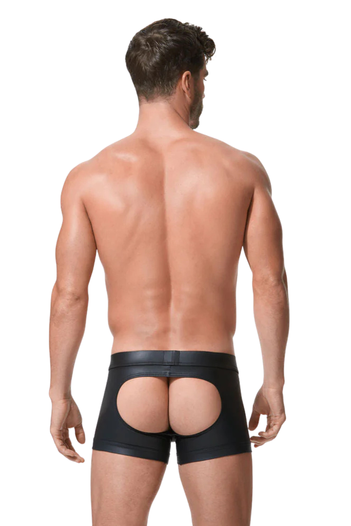 Boxer  Crave