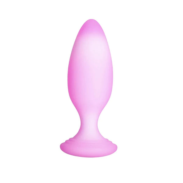 Plug anal en silicone 4 po