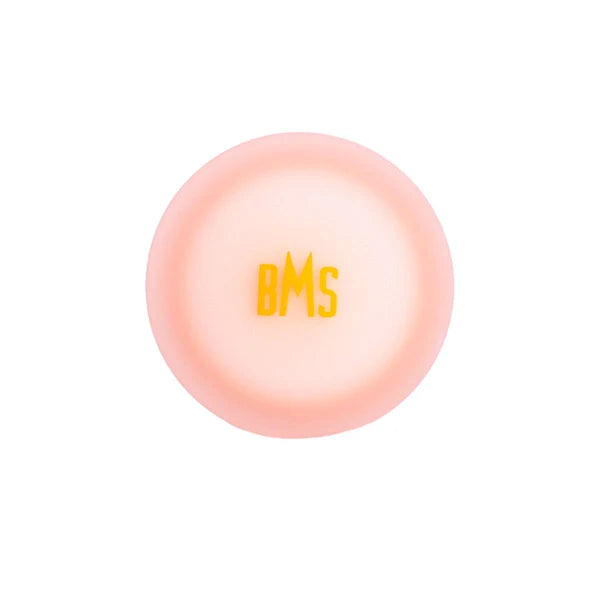 Plug anal en silicone 4 po