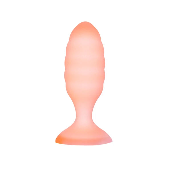 Plug anal en silicone 4 po