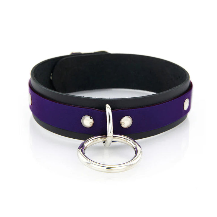 Collier Cuir Anneau 50 nuances