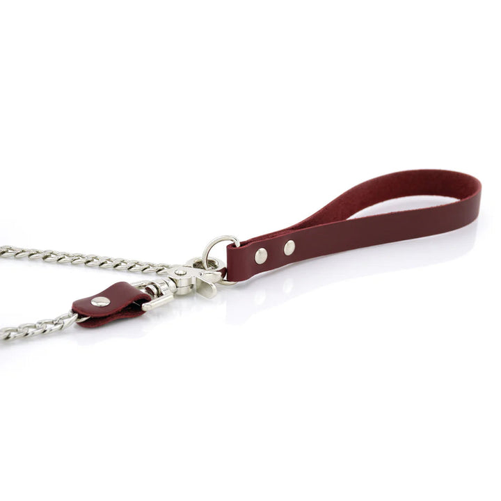 Laisse Cuir Métal lxb