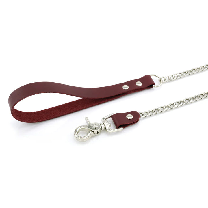Laisse Cuir Métal lxb