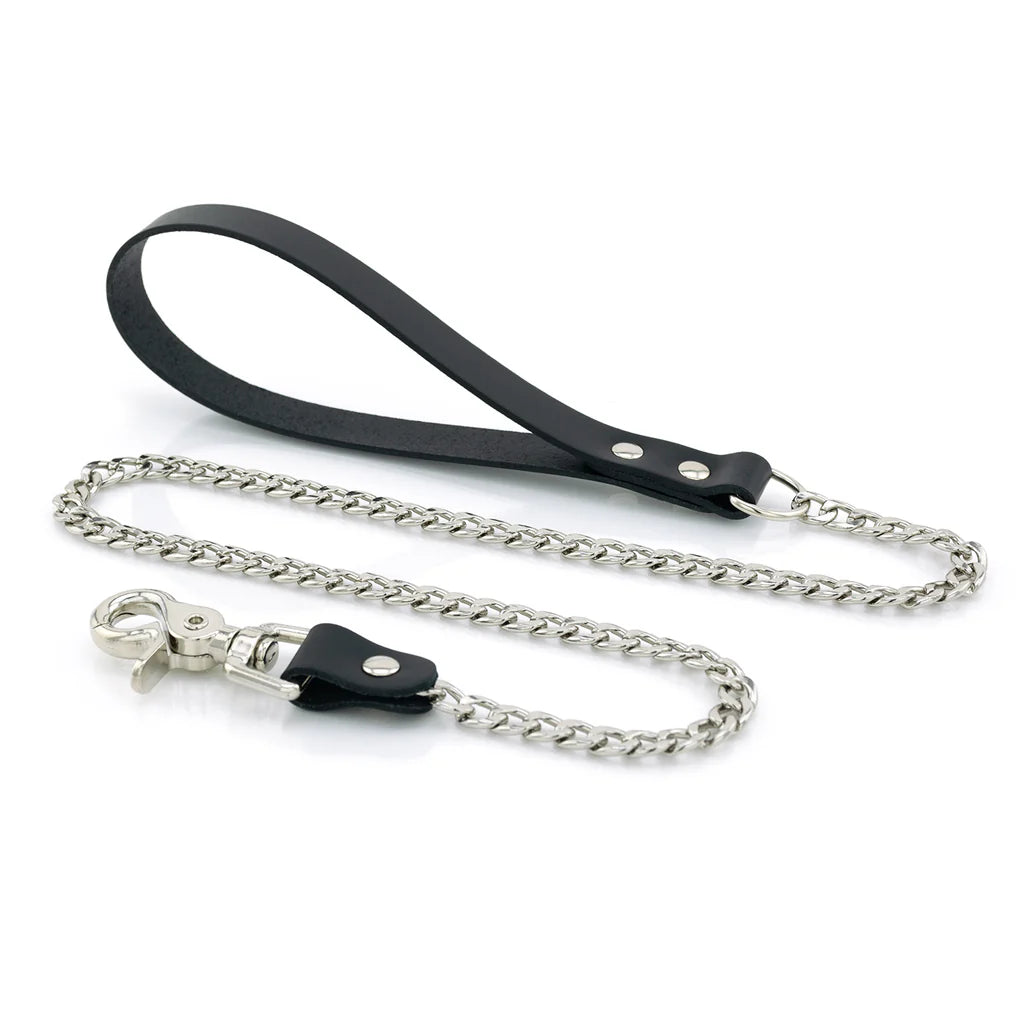 Laisse Cuir Métal lxb