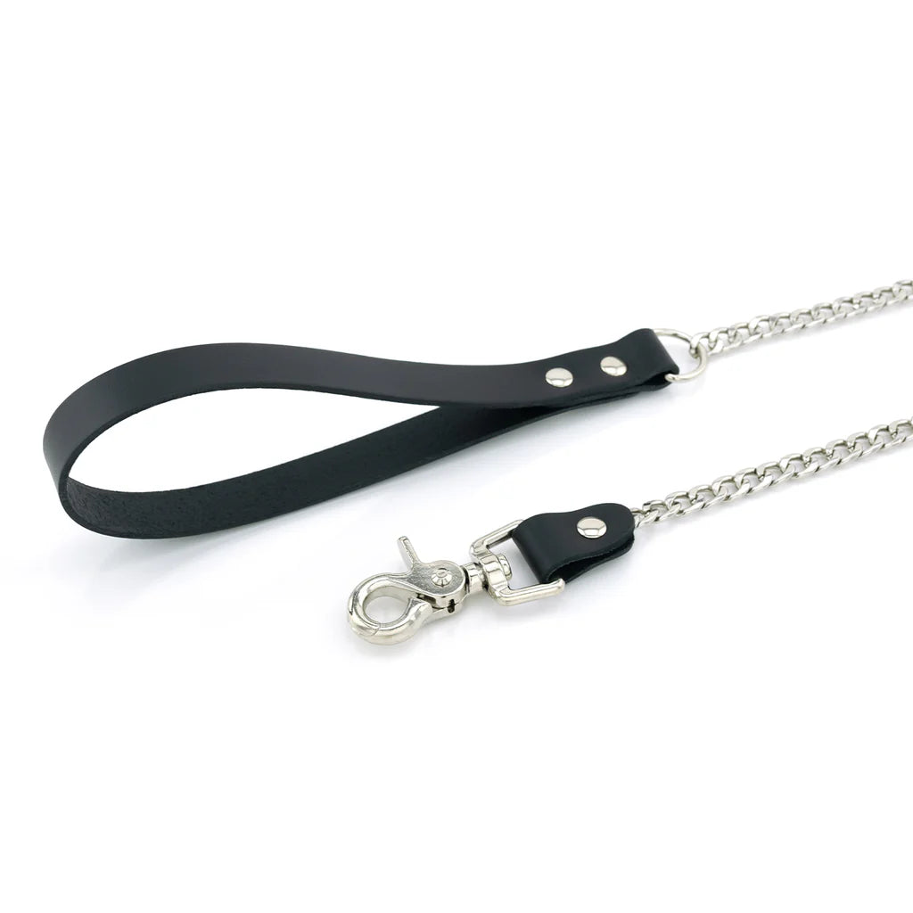 Laisse Cuir Métal lxb