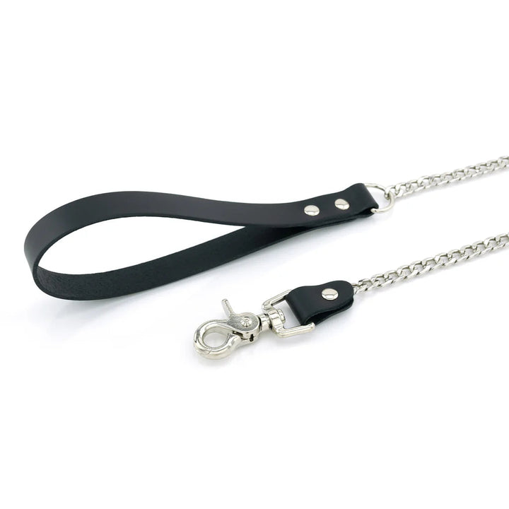 Laisse Cuir Métal lxb