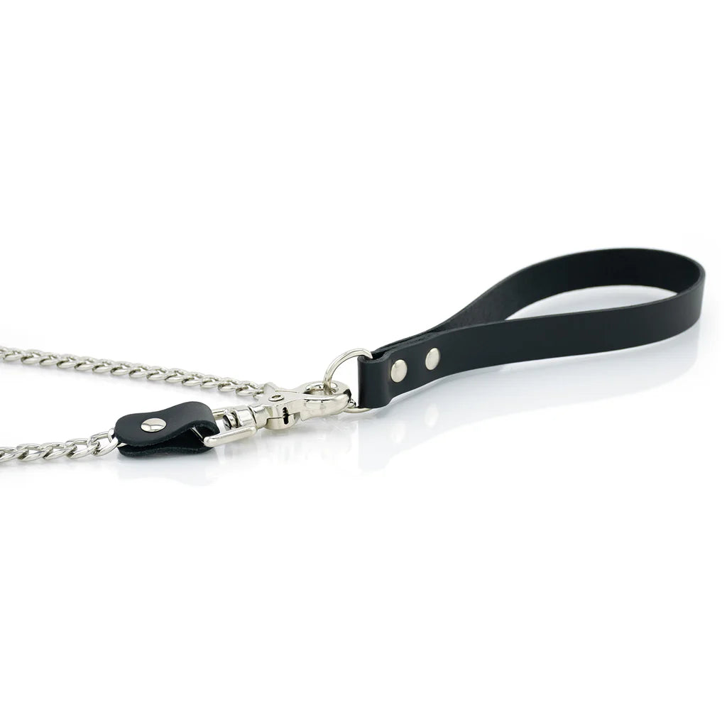 Laisse Cuir Métal lxb