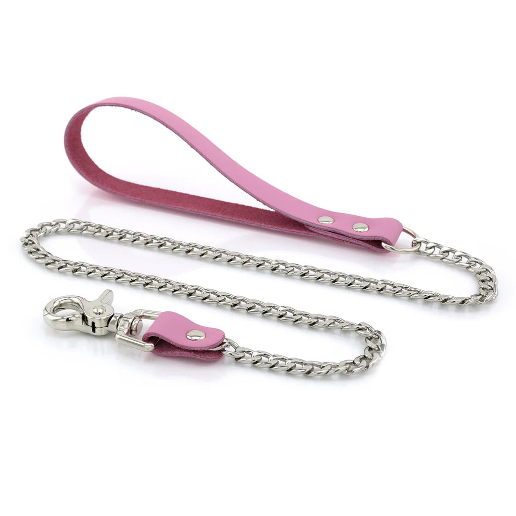 Laisse Cuir Métal lxb