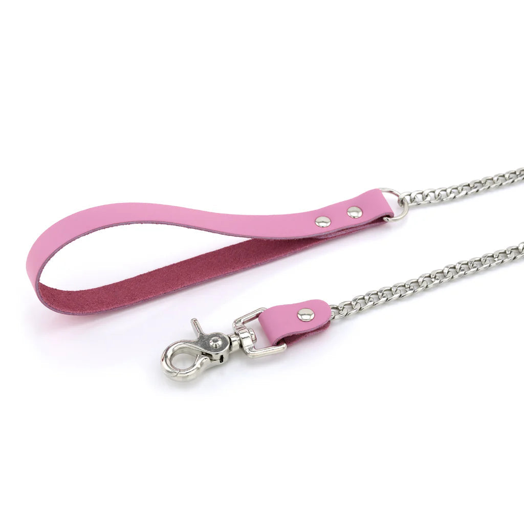 Laisse Cuir Métal lxb