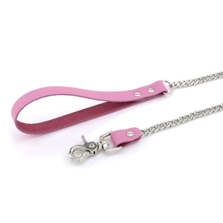 Laisse Cuir Métal lxb