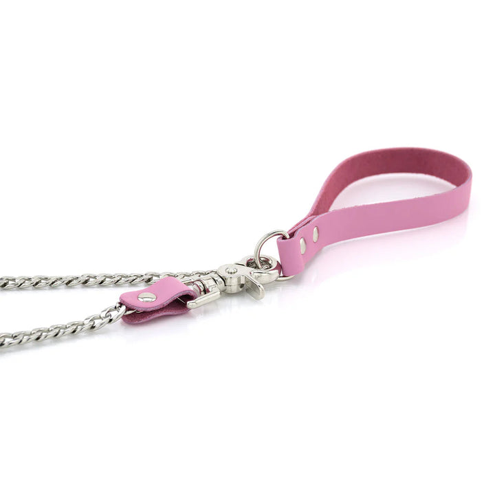 Laisse Cuir Métal lxb