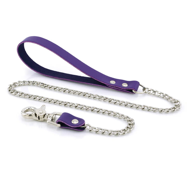 Laisse Cuir Métal lxb