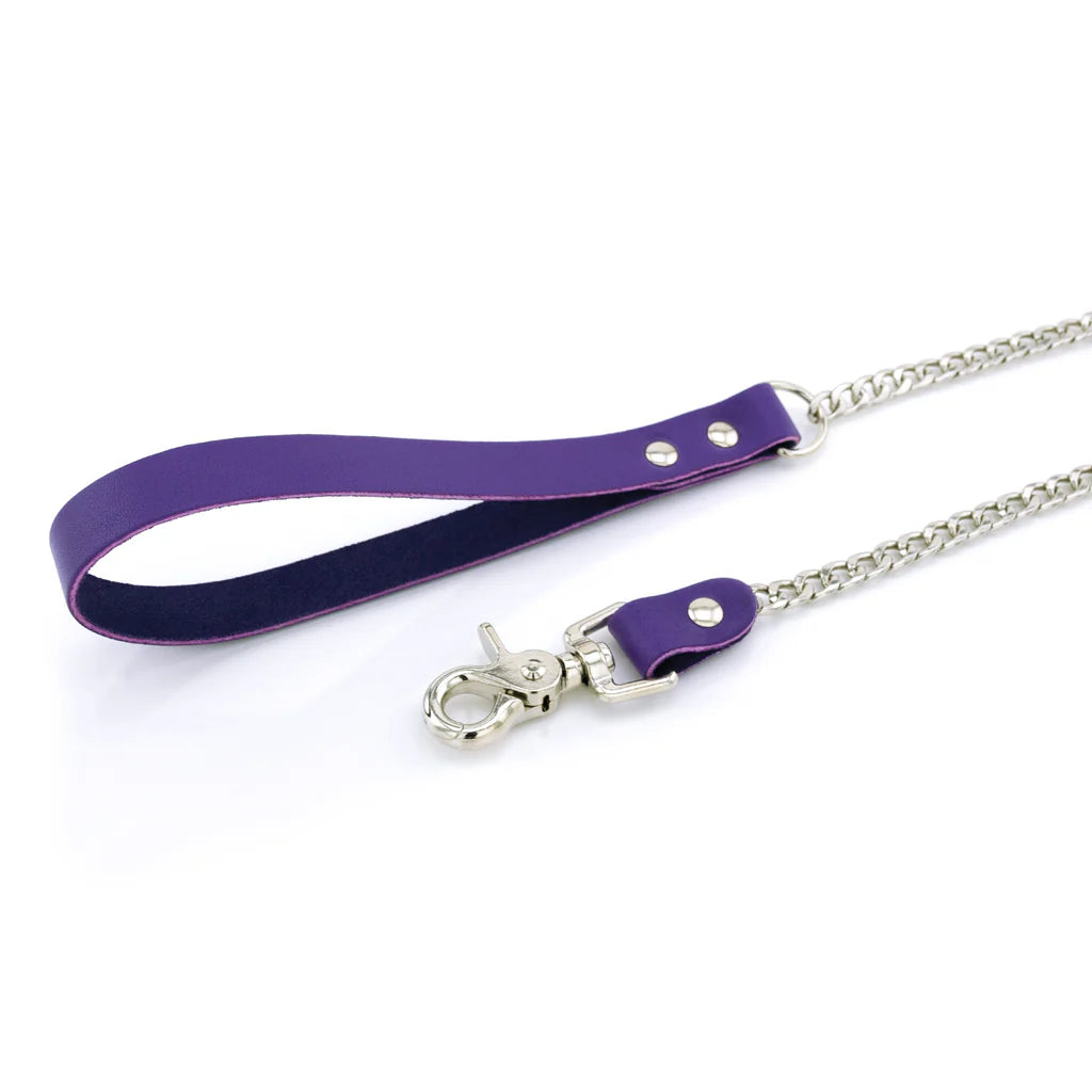 Laisse Cuir Métal lxb