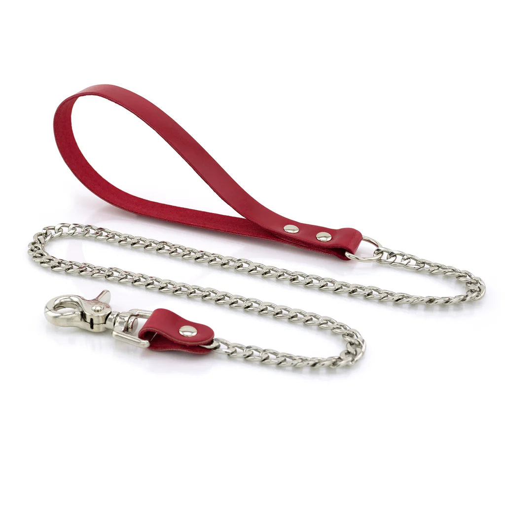 Laisse Cuir Métal lxb