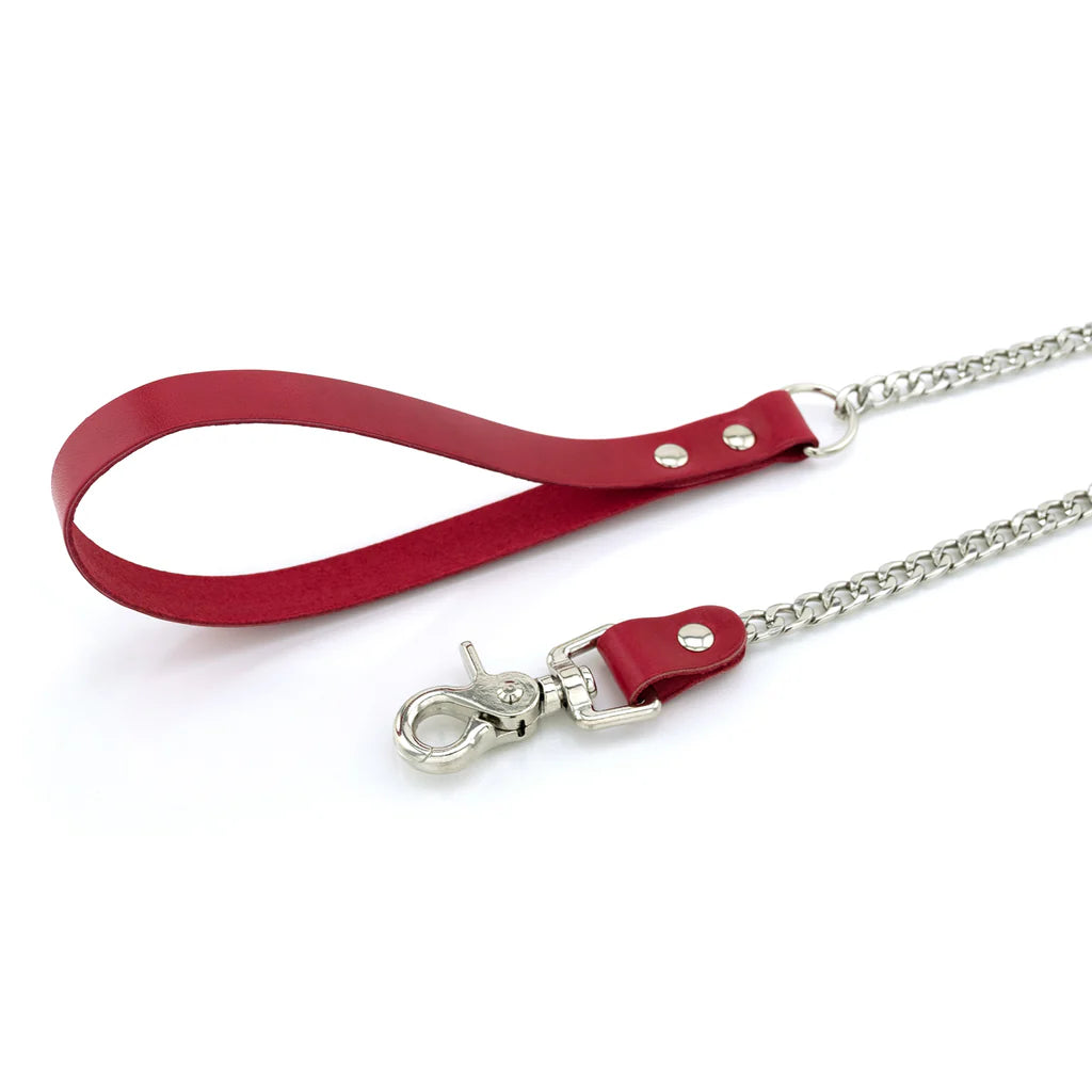 Laisse Cuir Métal lxb