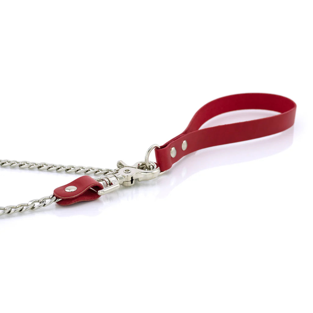 Laisse Cuir Métal lxb