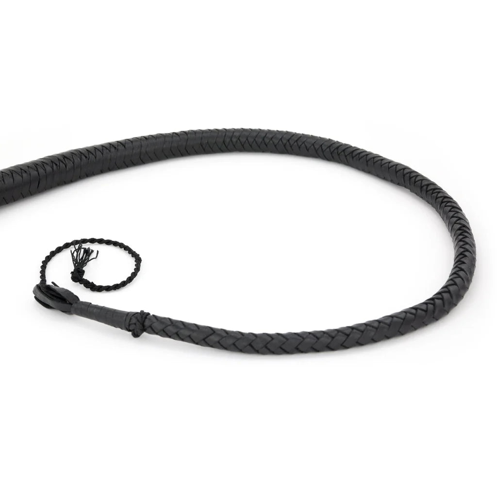 Fouet Simple Noir lxb