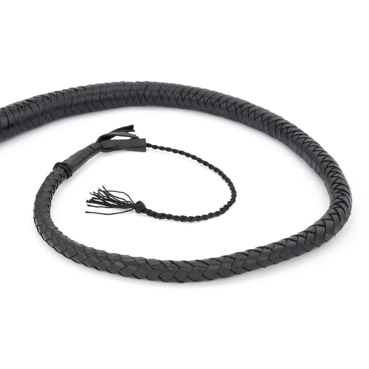 Fouet Simple Noir lxb