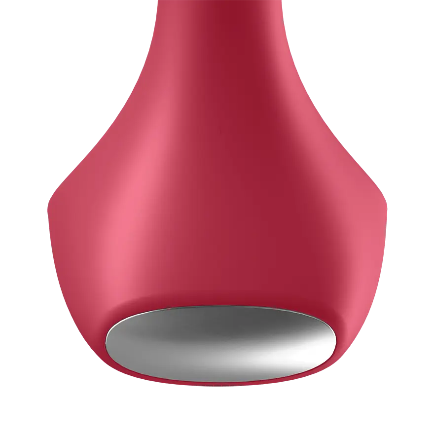 Amant du Porte-arrière - Rose Satisfyer