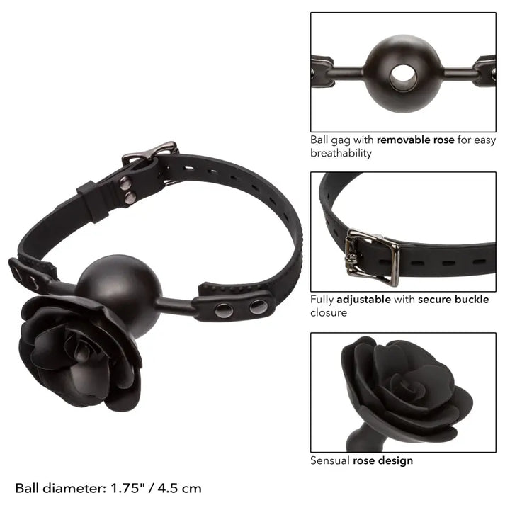 Bâillon Rose Amovible Forbidden calexotics