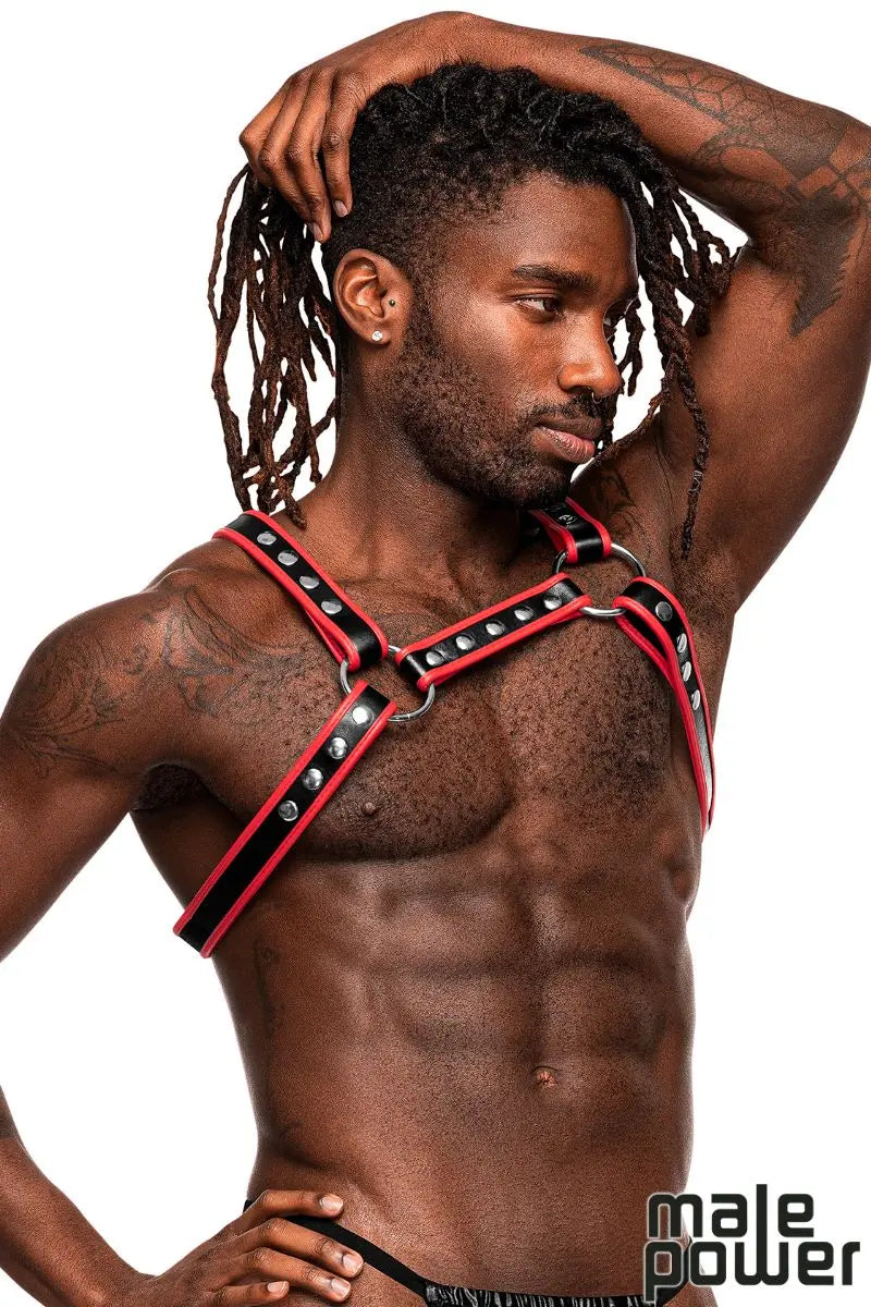 Harnais pectoral - Rouge & Noir Male Power