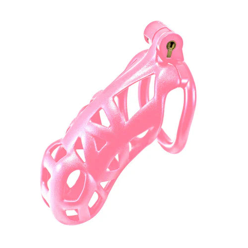 Série Kink Chastity : Cage de Chasteté Verrouillable Extra Large Rose