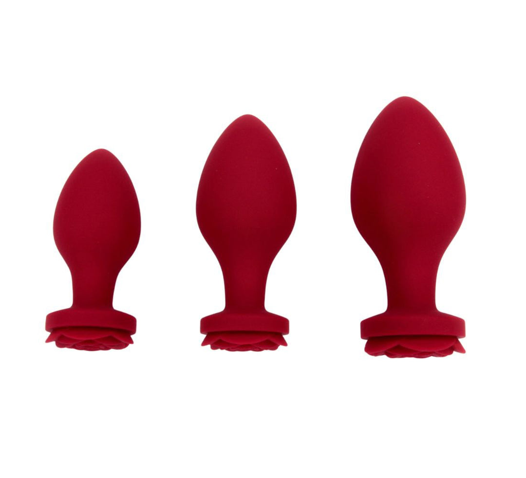 Rosalina - Ensemble de plugs anaux
