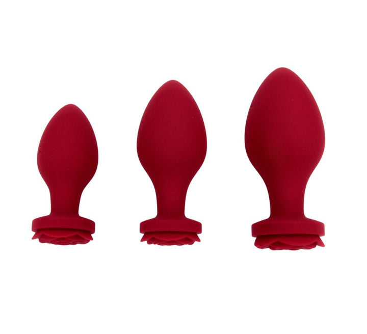 Rosalina - Ensemble de plugs anaux