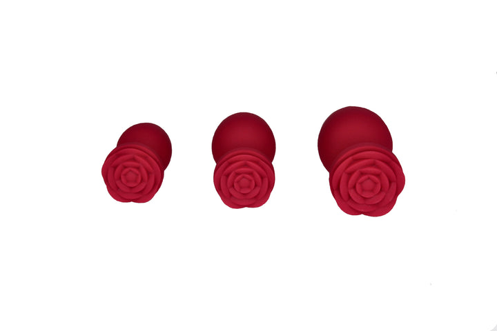 Rosalina - Ensemble de plugs anaux