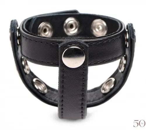 Leather Snap-On Cock Harness xr brands