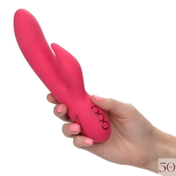 San Francisco Sweetheart calexotics