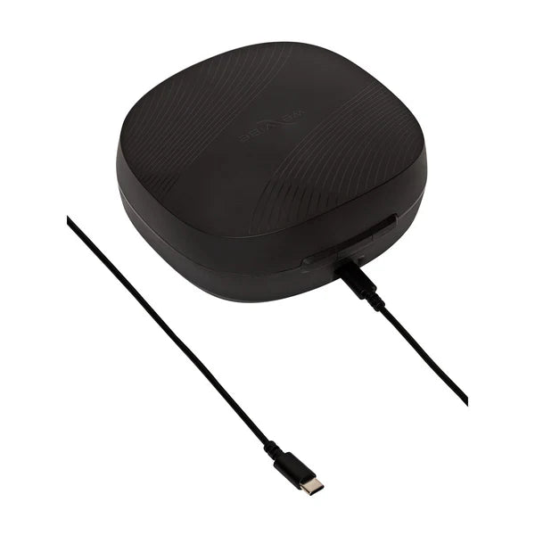 Chorus Pro