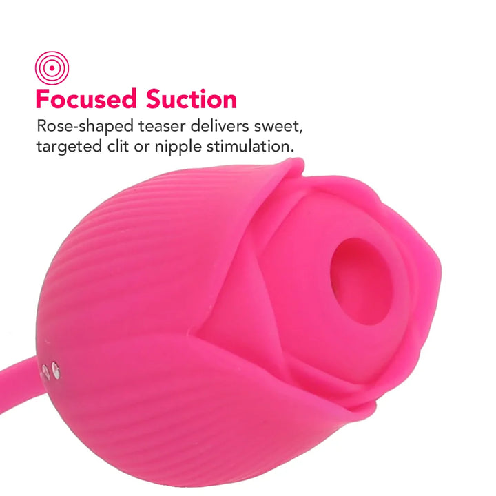 Vibromasseur Rose à Succion et Va-et-vient