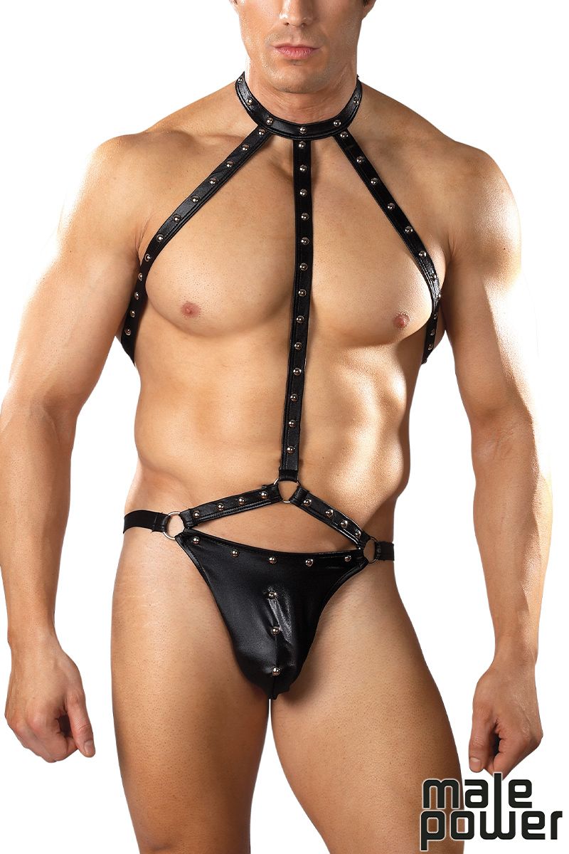 Gladiator Harness