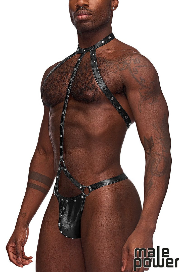 Gladiator Harness