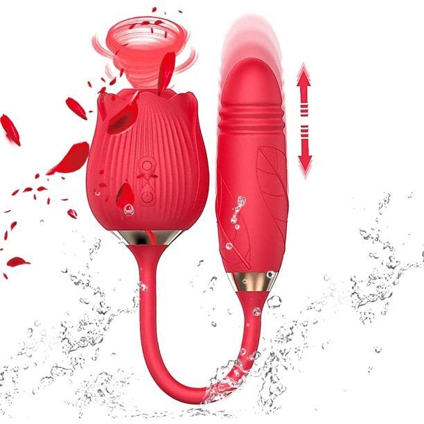 Vibrateur Rose 2 en 1