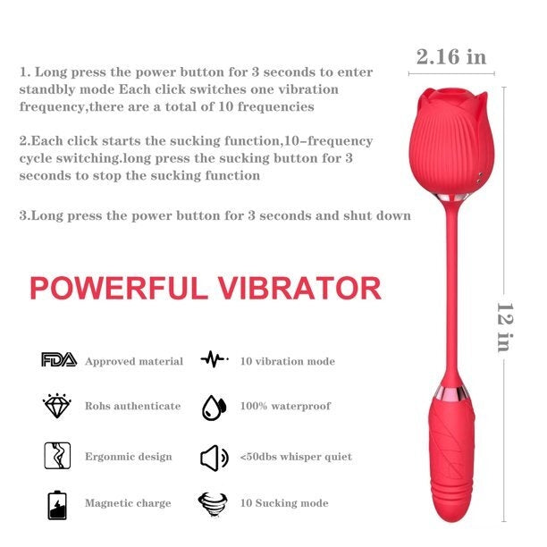 Vibrateur Rose 2 en 1