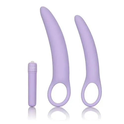 Dr. Laura Berman Isabelle Ensemble de 2 Dilatateur en Silicone calexotics