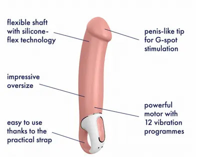 Maître des Vibrations Satisfyer